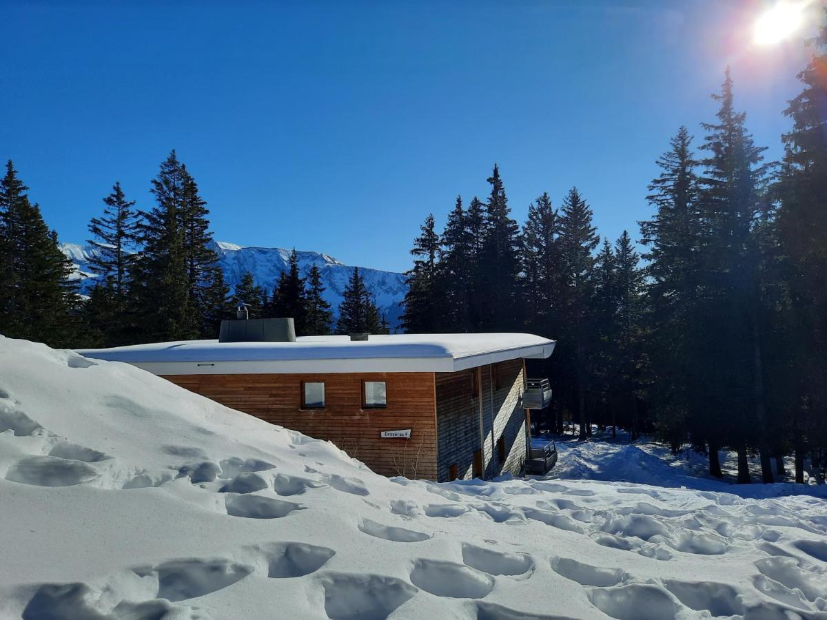 La Petite Foret Chamrousse 1700 Exteriér fotografie