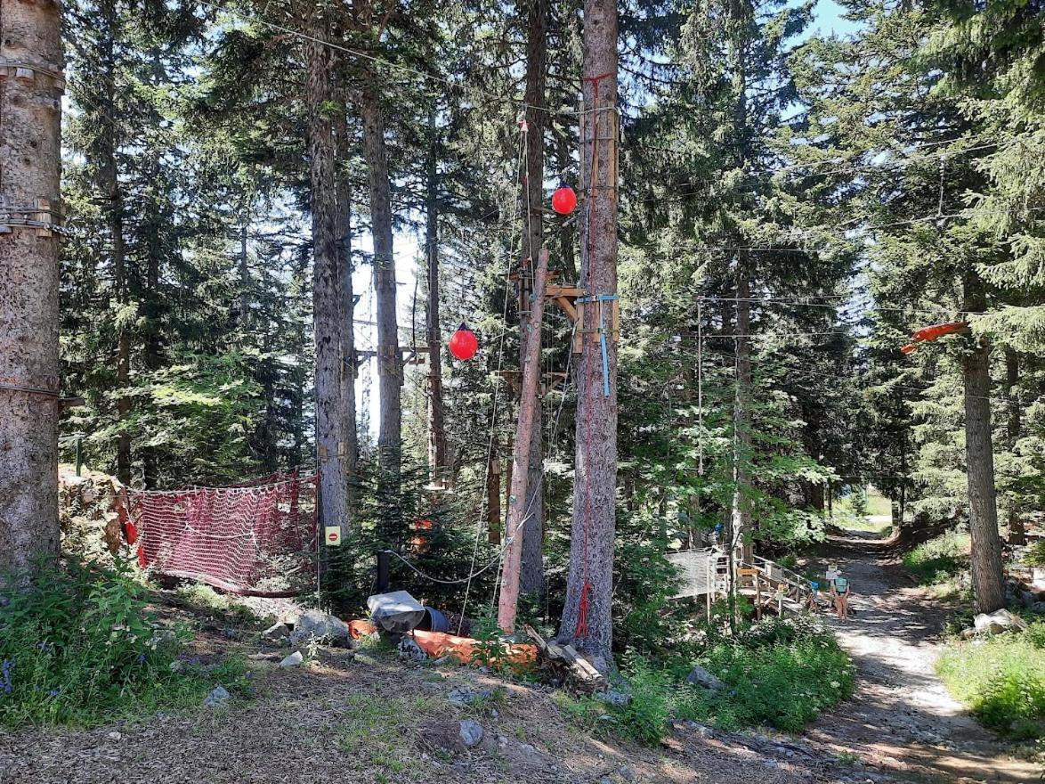 La Petite Foret Chamrousse 1700 Exteriér fotografie