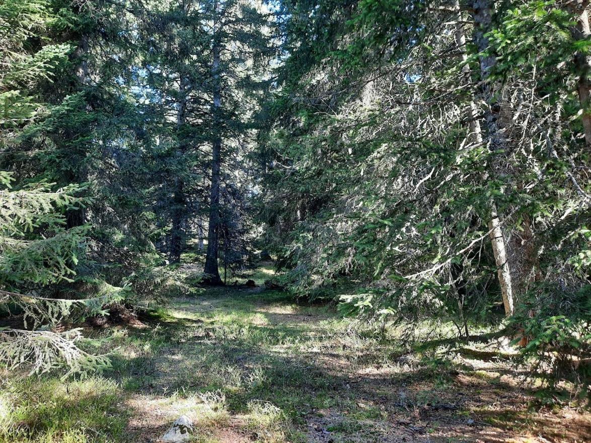 La Petite Foret Chamrousse 1700 Exteriér fotografie