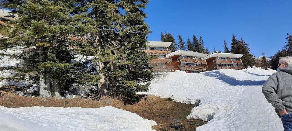 La Petite Foret Chamrousse 1700 Exteriér fotografie