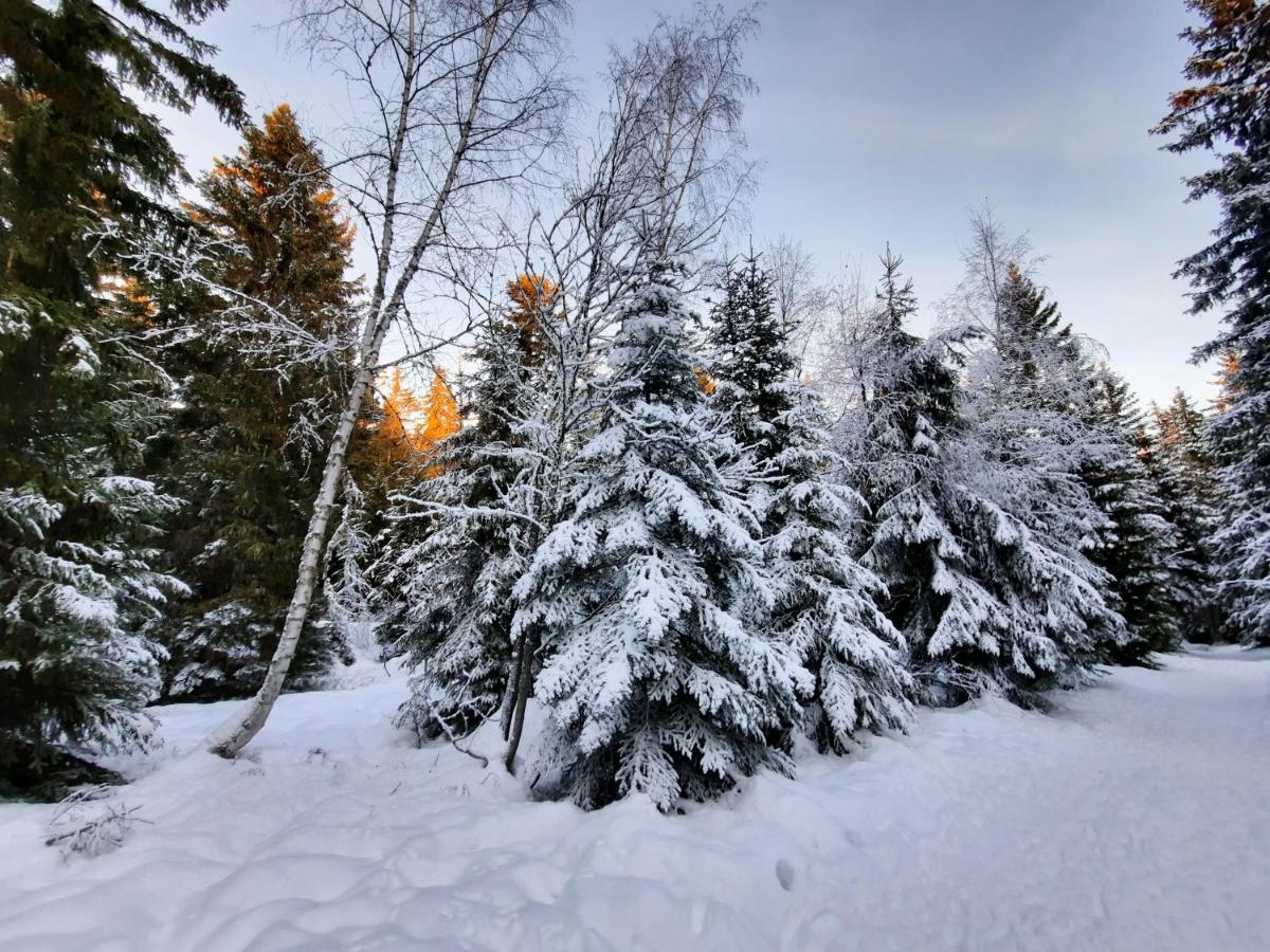 La Petite Foret Chamrousse 1700 Exteriér fotografie