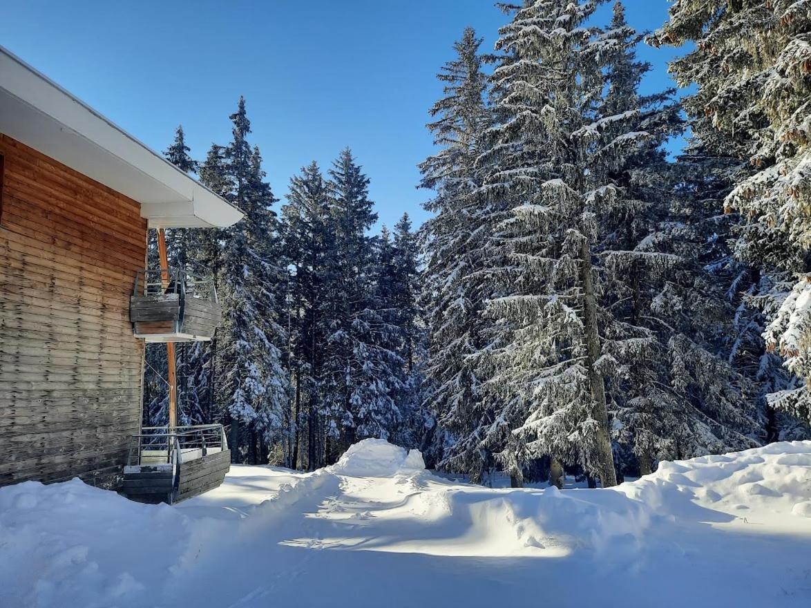 La Petite Foret Chamrousse 1700 Exteriér fotografie